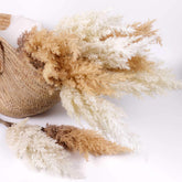 Reed Pampas Grass Spray 83cmH